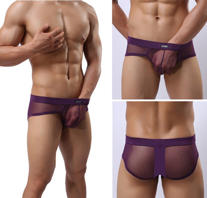 Thin Summer Sexy Fashion Mesh See Though Briefs