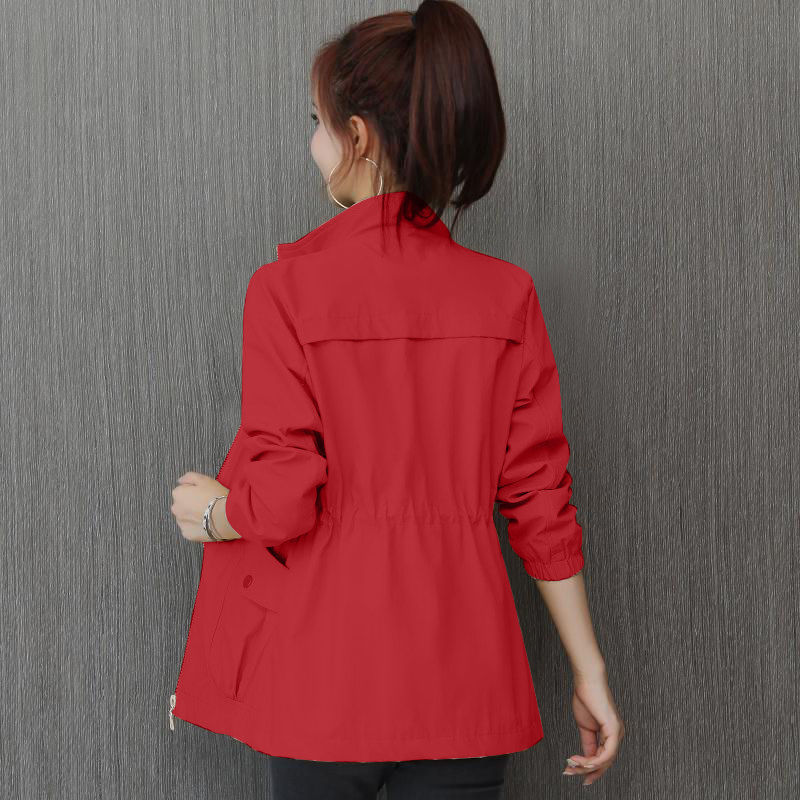 Korean Style Windbreaker With Waist And Slim