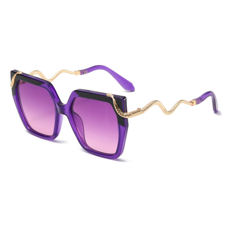 Retro Square Snake Pattern Temple Sunglasses For A Stylish