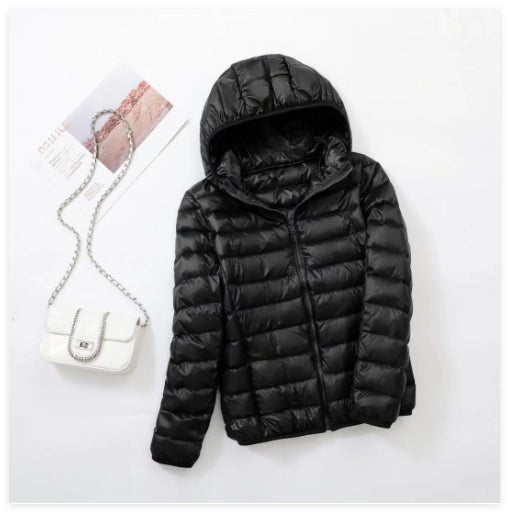 Lightweight Slim Fit Jacket With Stand-up Collar