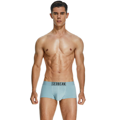 Men's Cotton Underpants Low Waist Casual Boxer Boxer Briefs