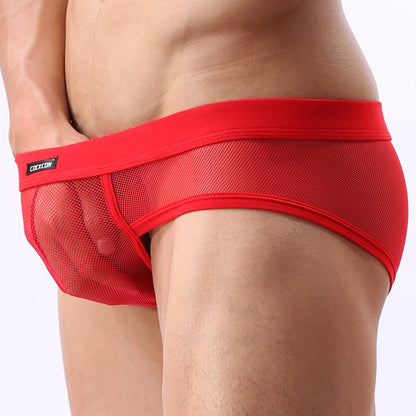 Thin Summer Sexy Fashion Mesh See Though Briefs