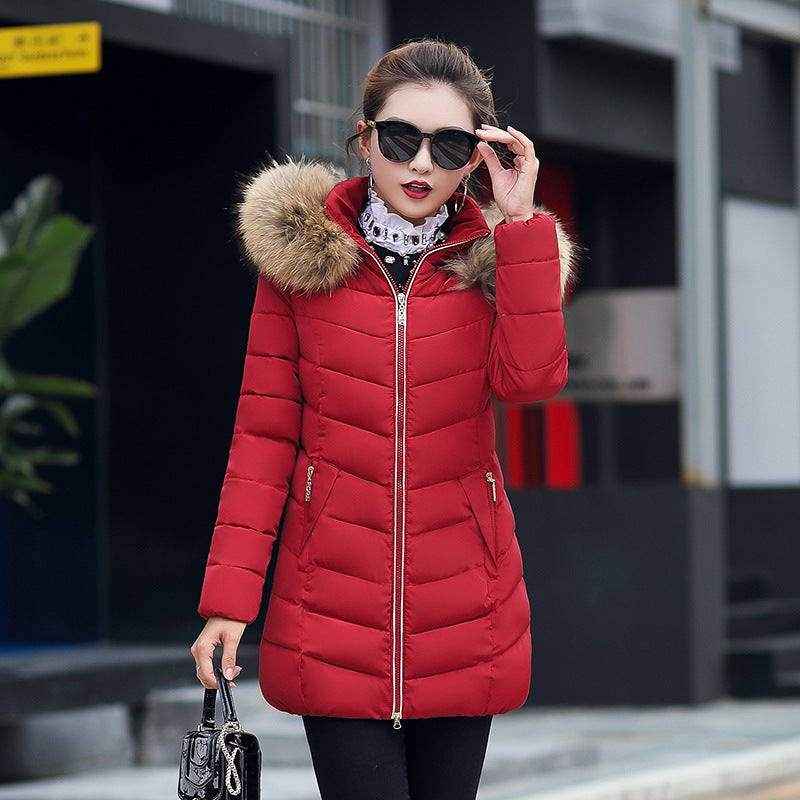 Fur collar down cotton