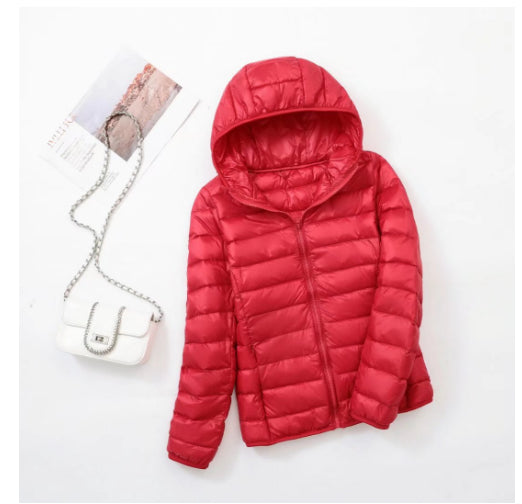 Lightweight Slim Fit Jacket With Stand-up Collar