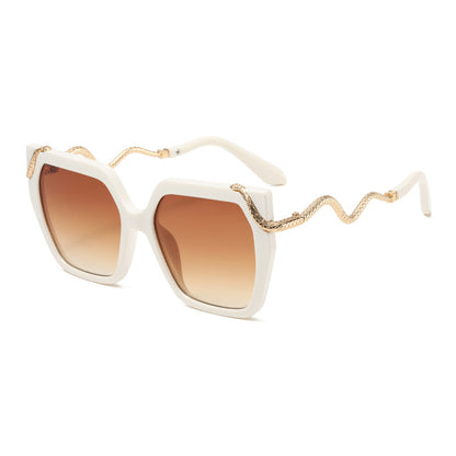 Retro Square Snake Pattern Temple Sunglasses For A Stylish